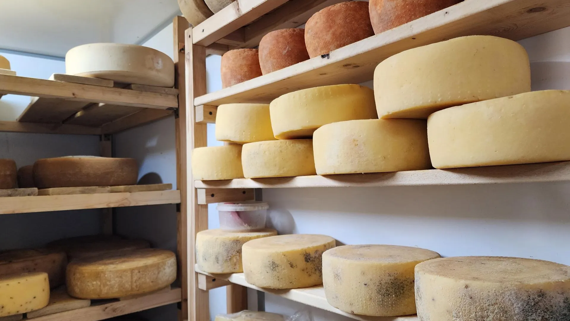 Мария Андрюхина