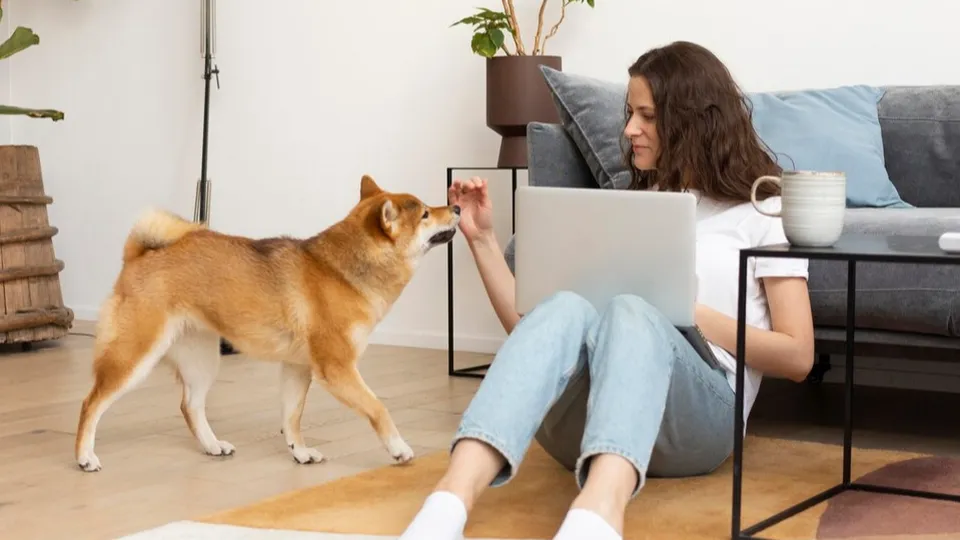 Фото: freepik.com