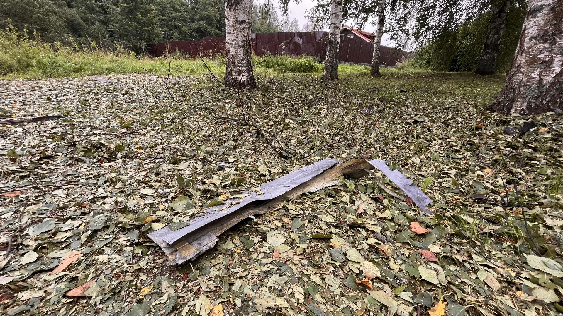 фото: Екатерина Данилина