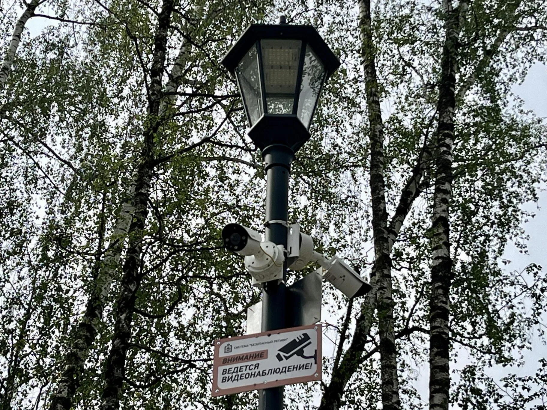 Фото: Анна Тюрюмина&nbsp;&nbsp;