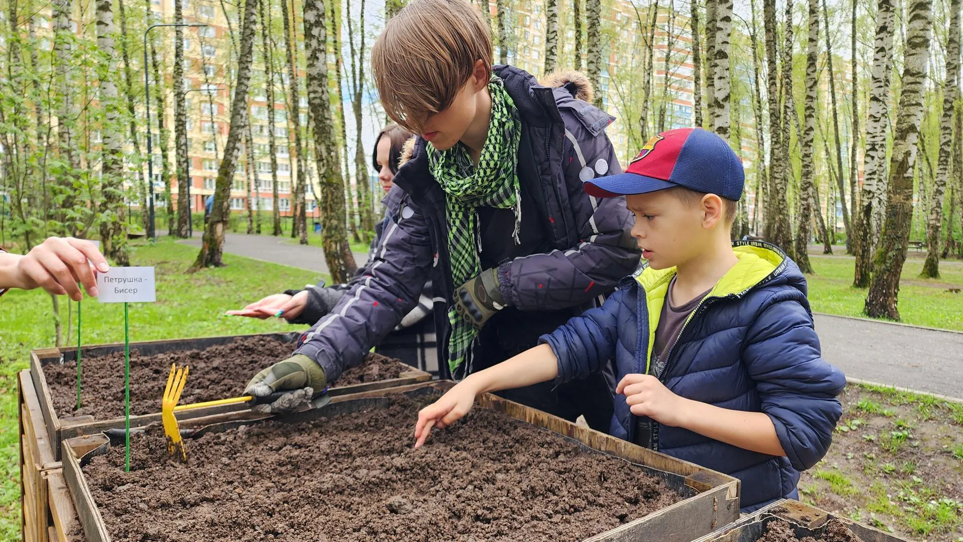 Фото: Анастасия Сараева