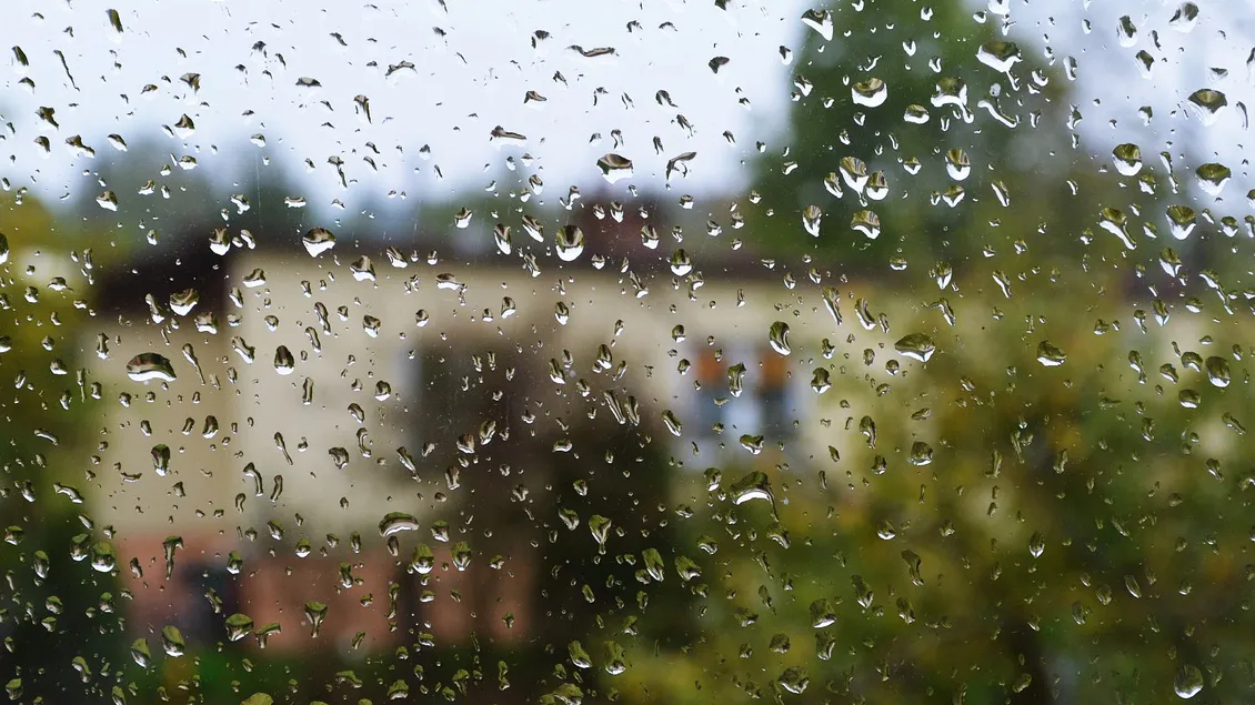 Фото: pxhere.com