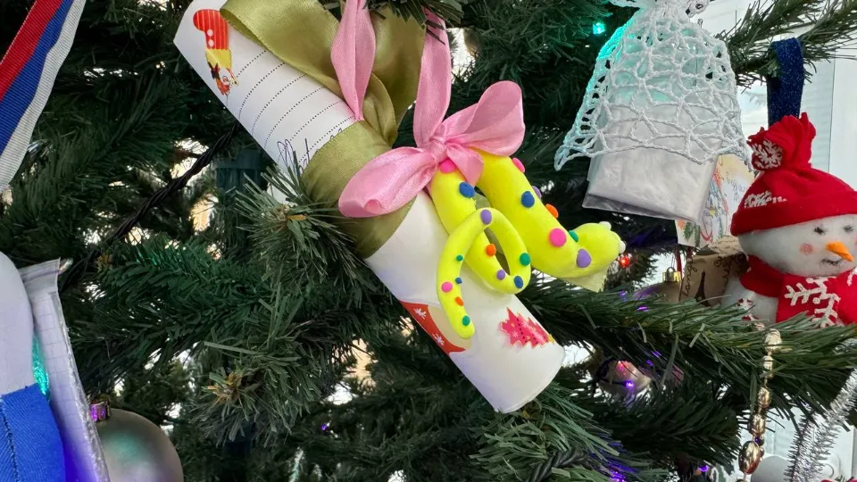 Фото: МедиаБанк Подмосковья/Яна Шаливская