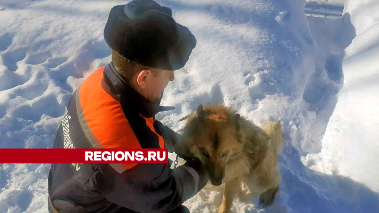 Фото: ГКУ МО «Мособлпожспас»