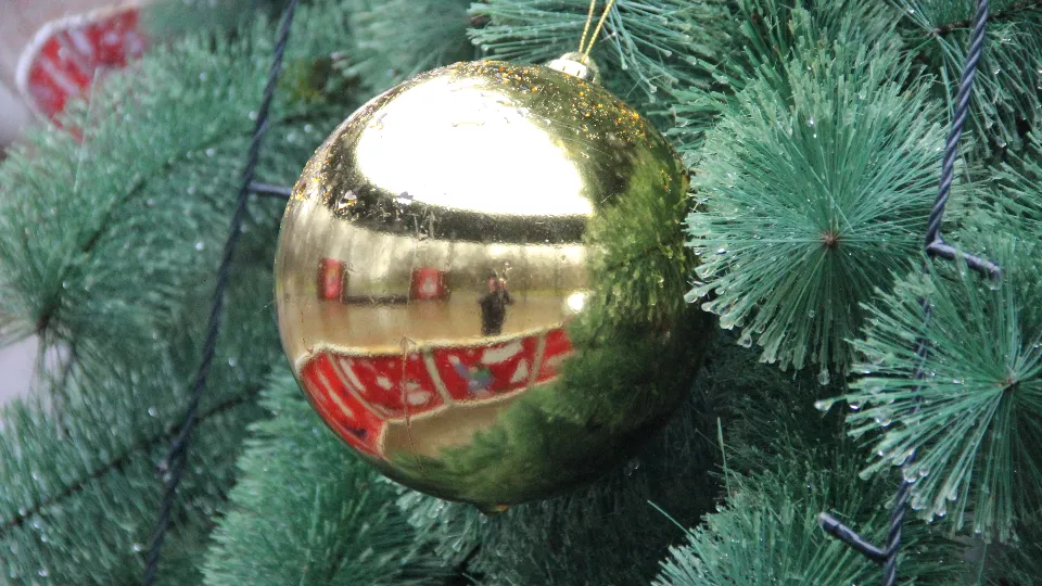 Фото: REGIONS/Василий Тремасов