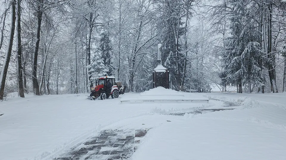 Фото: МедиаБанк Подмосковья/Дмитрий Беденко