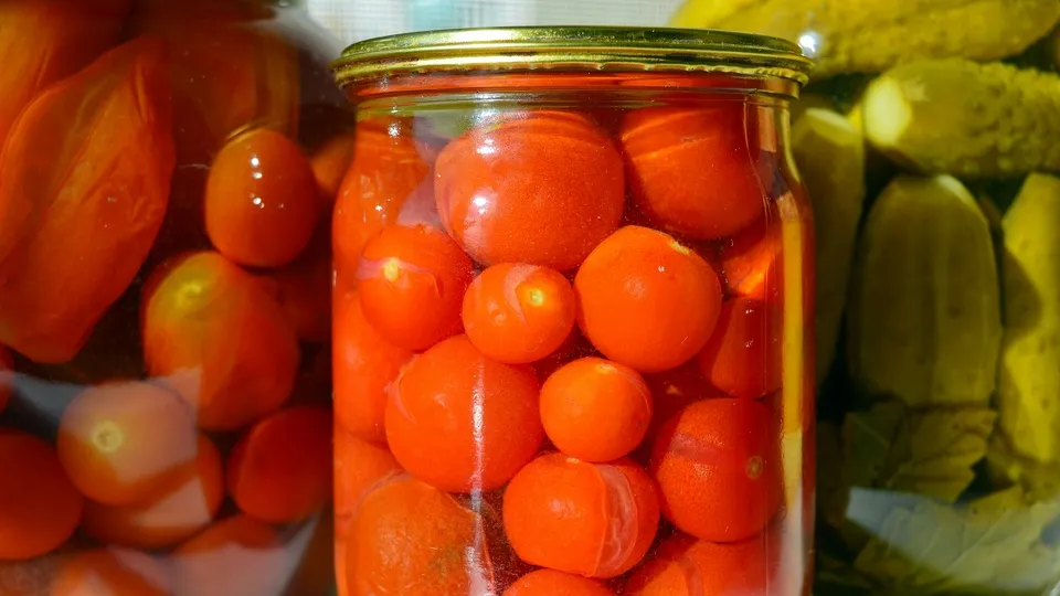 Фото: pxhere.com