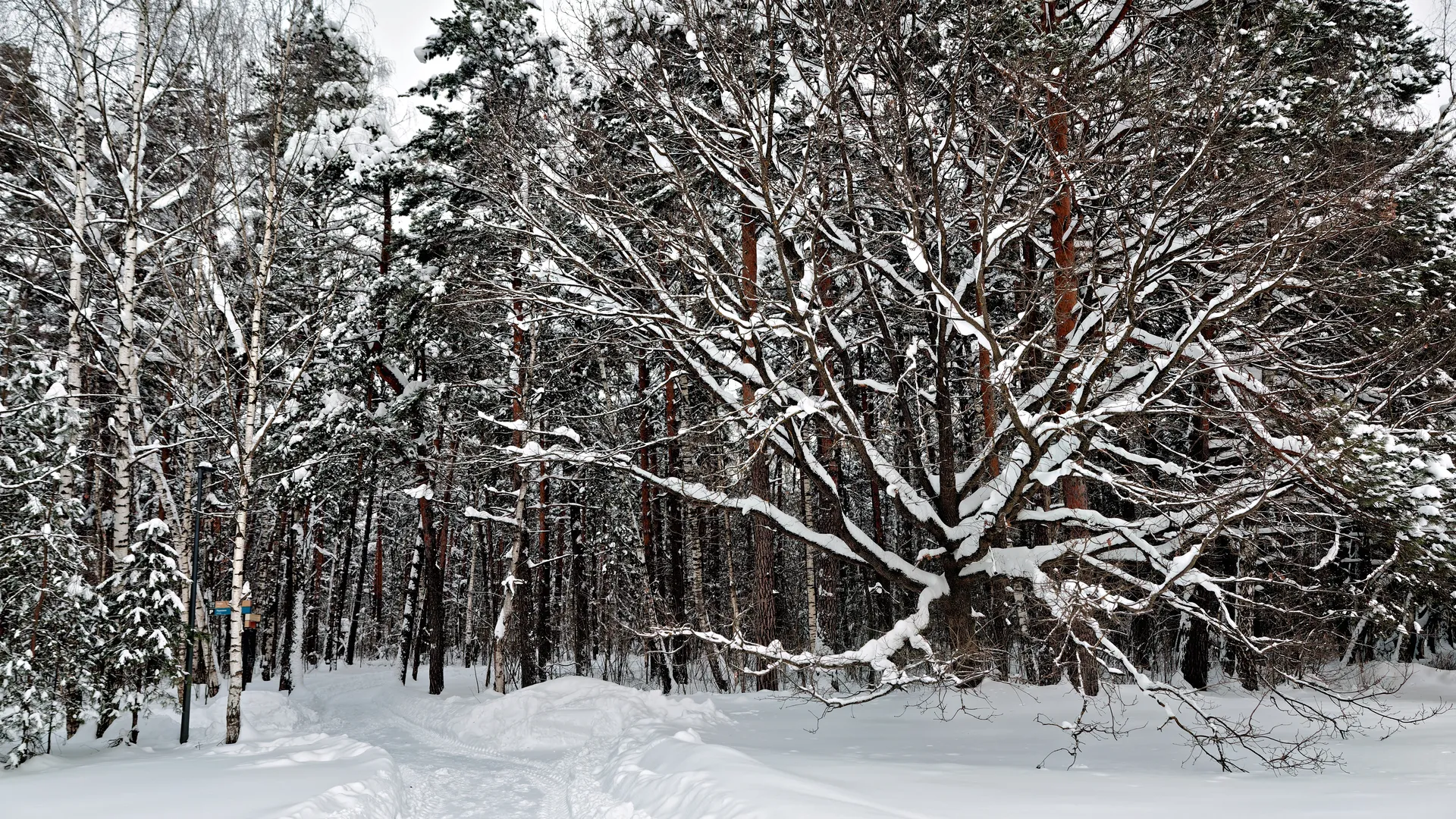 медиасток.рф