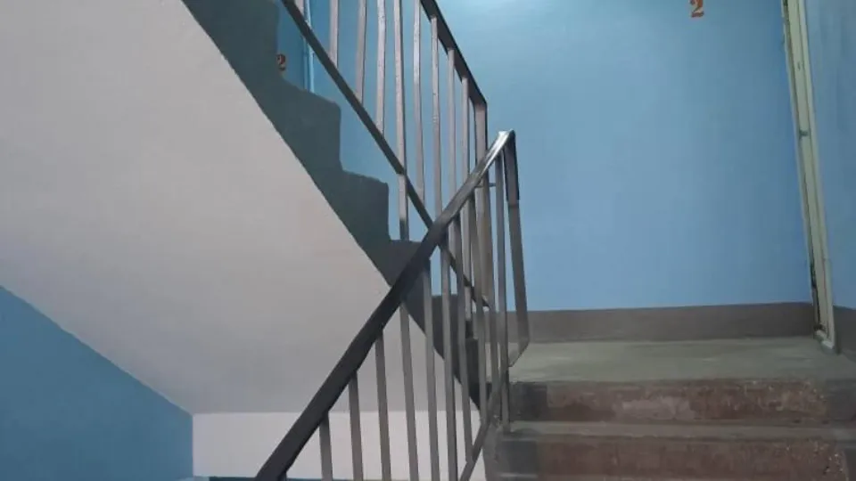 Фото: пресс-служба администрации Павлово-Посадского г.о.