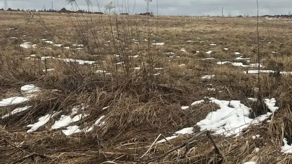 Фото: пресс-служба Комитета по конкурентной политике Московской области