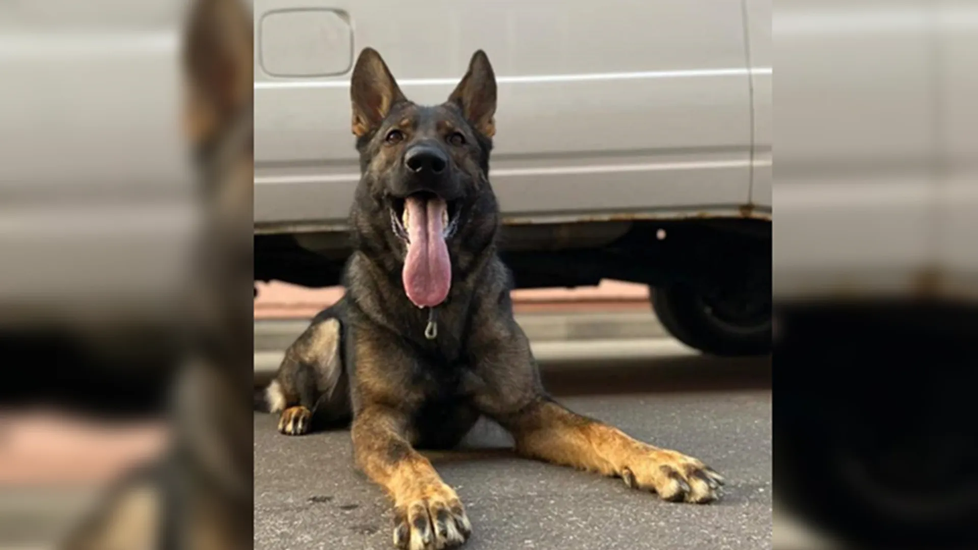 Фото: МУ МВД России «Серпуховское»