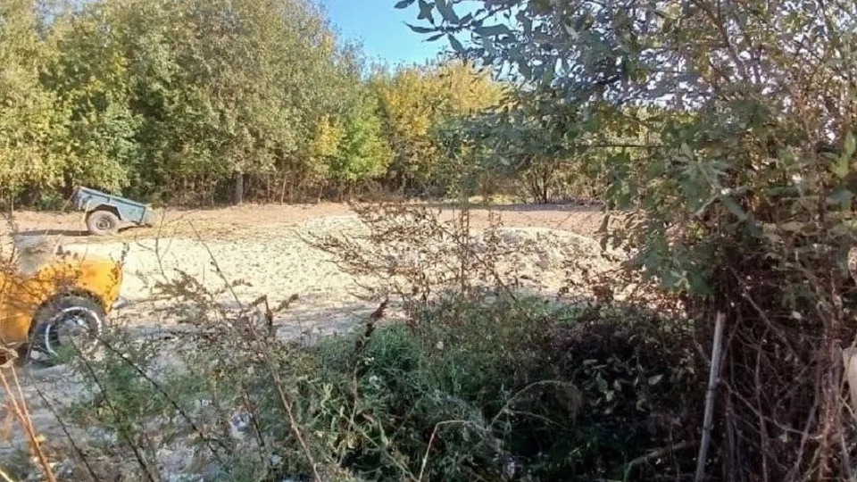 Фото: Министерство экологии и природопользования Московской области