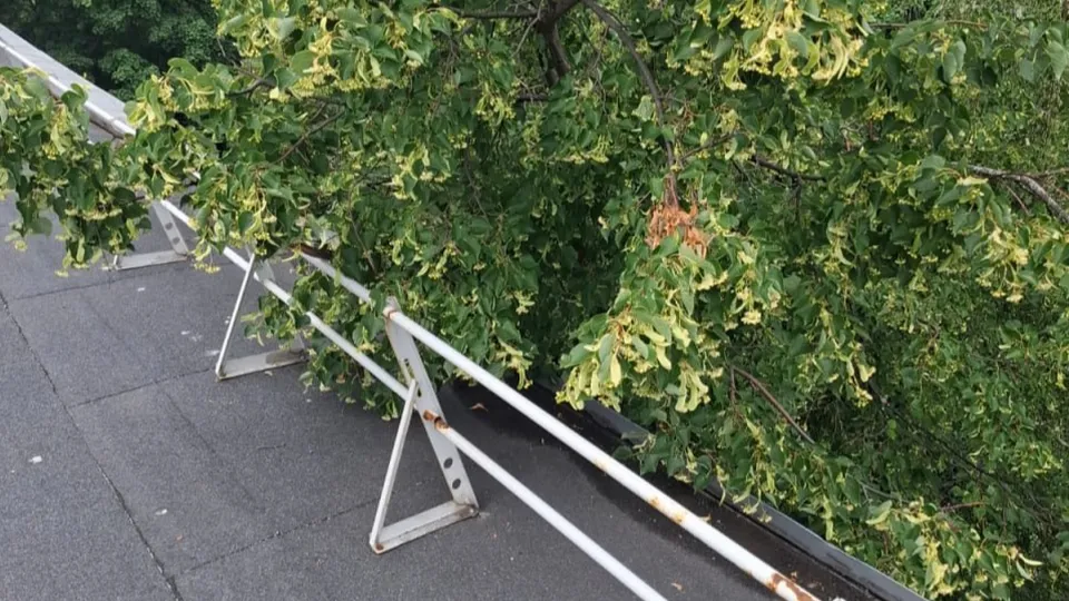 Фото: УК «Наш дом — Дзержинский»