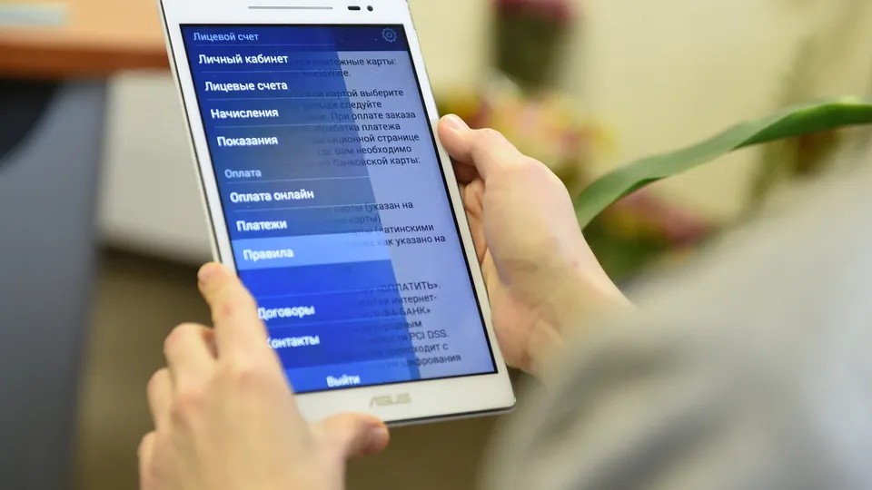 Фото: Медиаархив Подмосковья