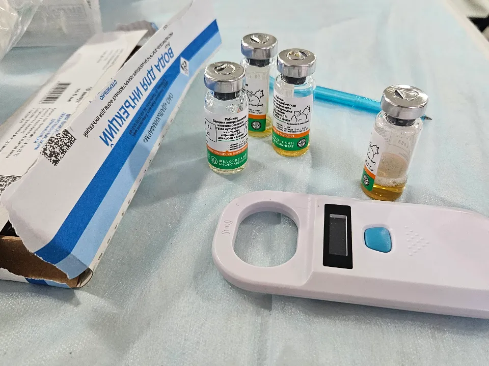 Фото: Медиабанк Подмосковья/Ольга Вельшикаева