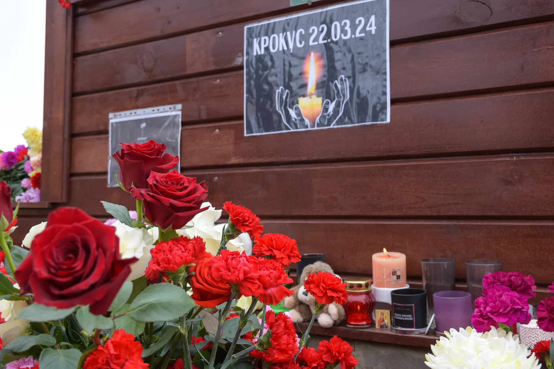 Фото: Евгений Мазепов