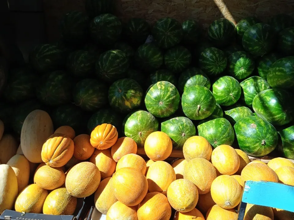 Фото: МедиаБанк Подмосковья/Дмитрий Павлов