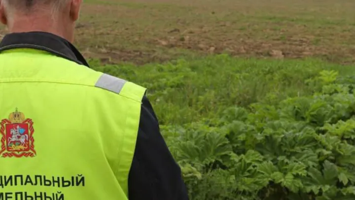 Источник: Министерство имущественных отношений Московской области