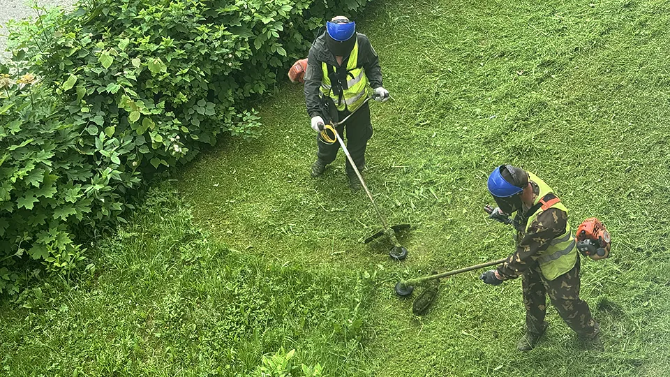 Фото: МедиаБанк Подмосковья/Татьяна Рунова