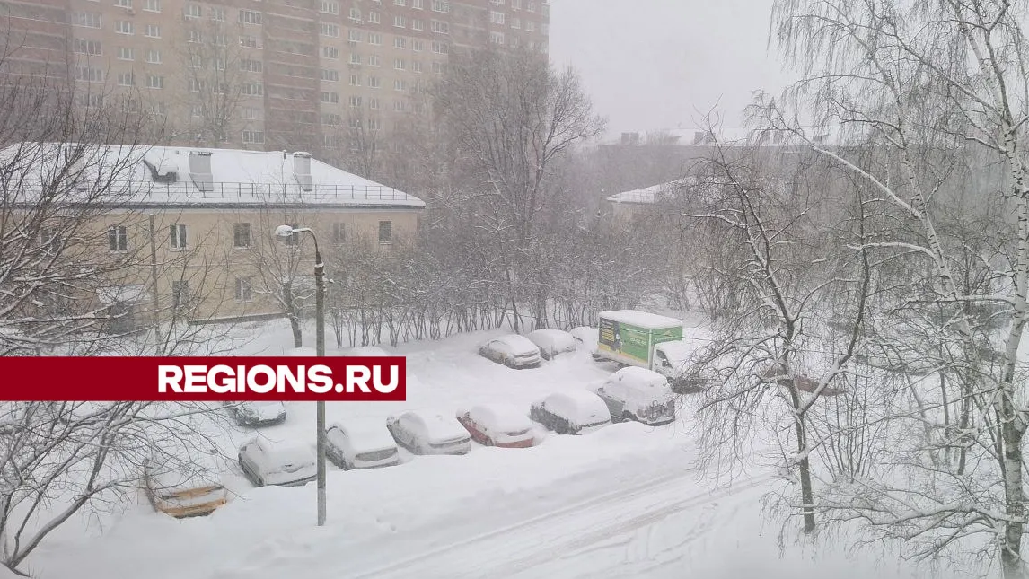 Фото/видео: Ирина Зубарева