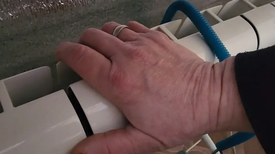 Фото: МедиаБанк Подмосковья/Мария Андрюхина