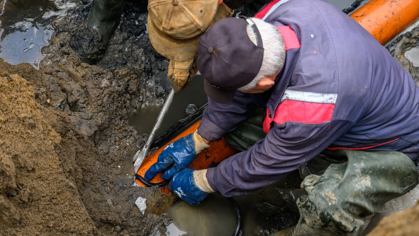 Фото: медиасток.рф