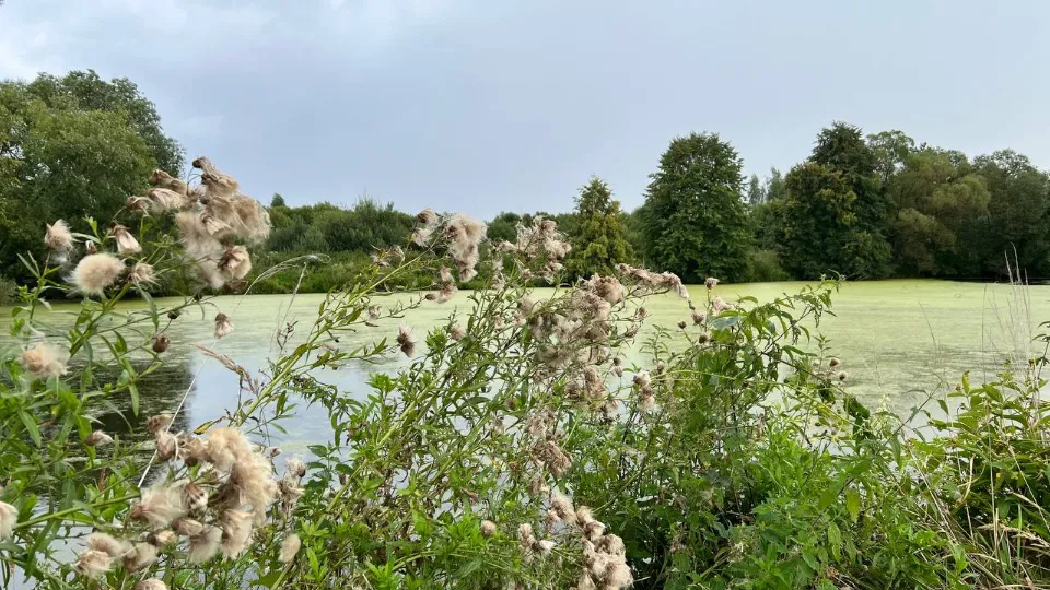 Фото: REGIONS/Елена Фурман