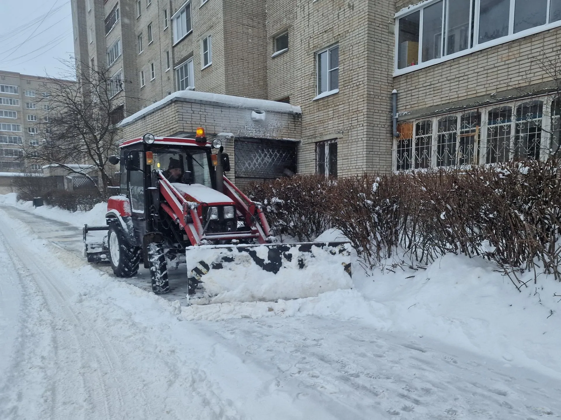 REGIONS/Ольга Шаронова