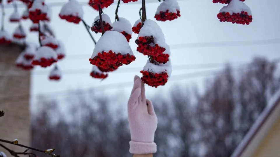 REGONS/Дарина Левкина