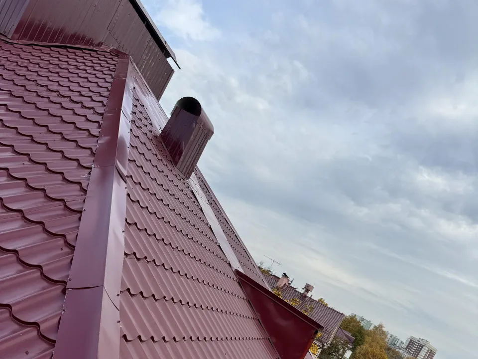 Фото: Полина Абраменко