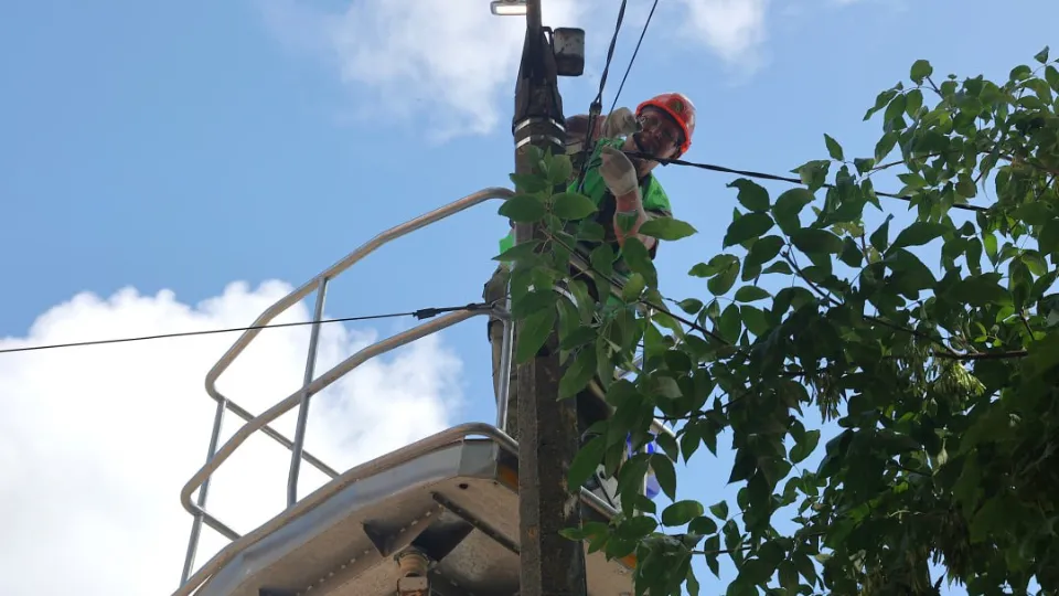 Фото: пресс-служба администрации Волоколамского м.о.