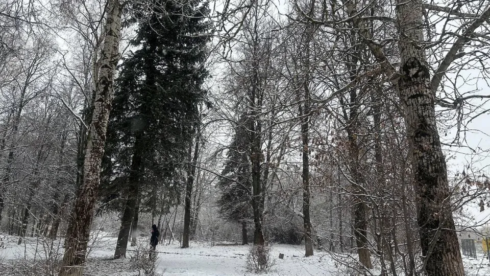 Фото: МедиаБанк Подмосковья/Эдуард Стратонов