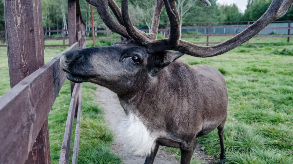 Фото: медиасток.рф
