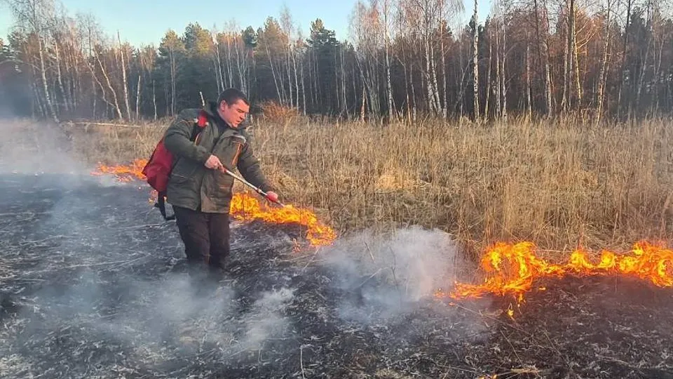 Фото: пресс-служба администрации Орехово-Зуевского округа