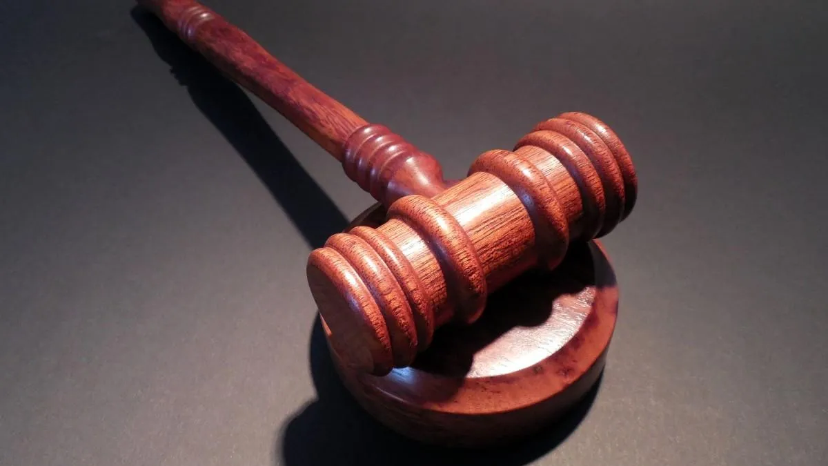 Фото: pxhere.com