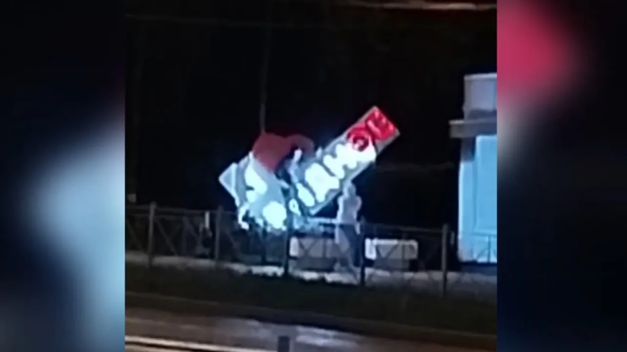 Фото: ГУ МВД РФ по Московской области