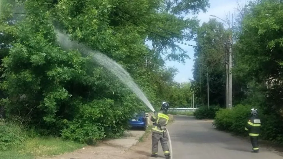 Фото: ГКУ МО «Мособлпожспас»