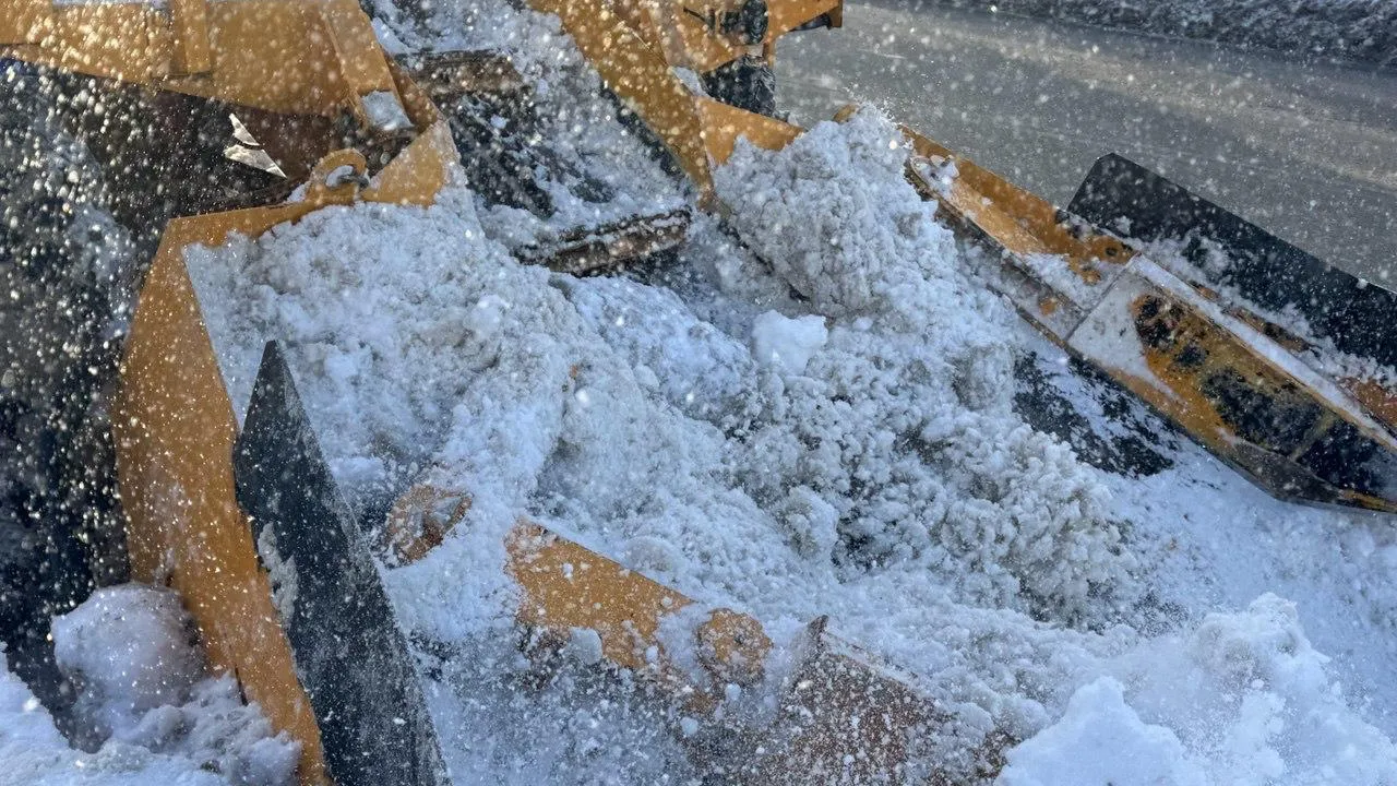 REGIONS/Татьяна Сташенко