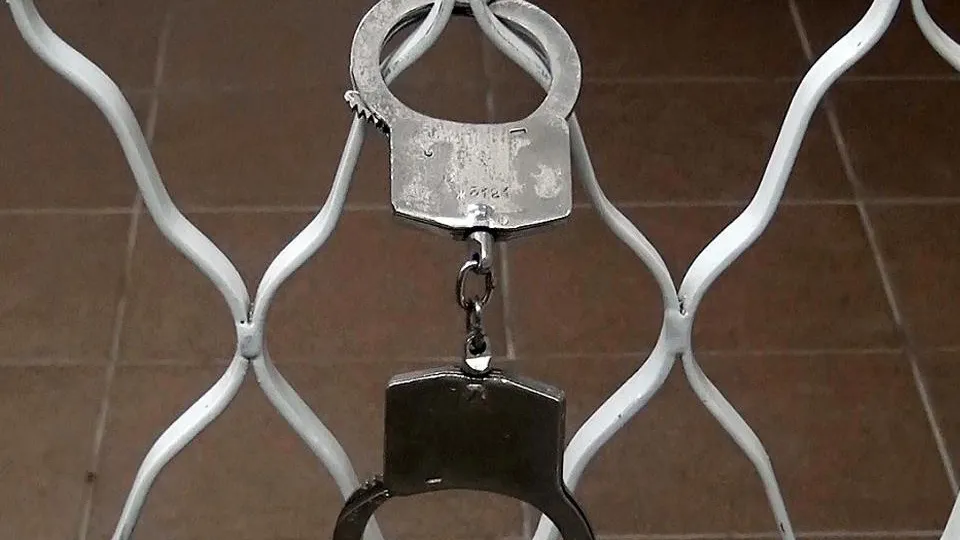 Фото: пресс-служба УМВД России по Дмитровскому городскому округу