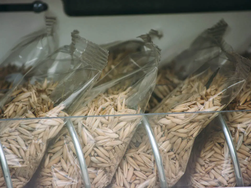 Фото: t.me/parkiLP