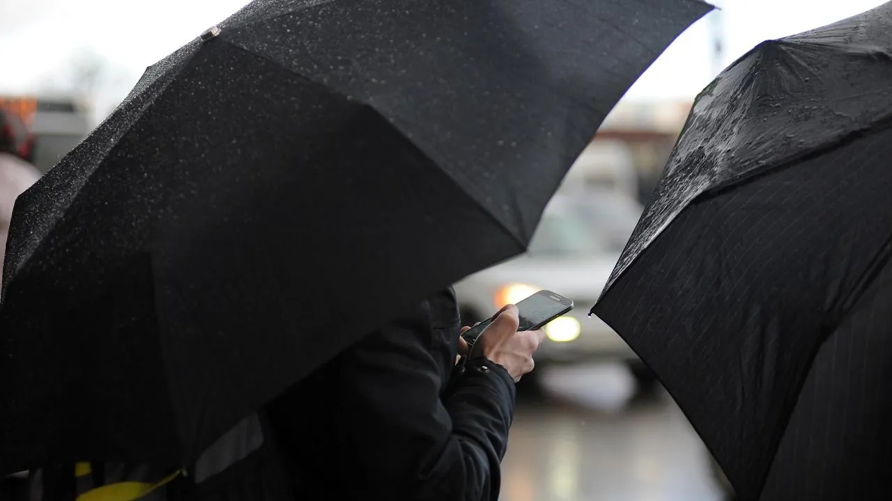 Дожди и порывистый ветер ожидаются в Московском регионе в четверг