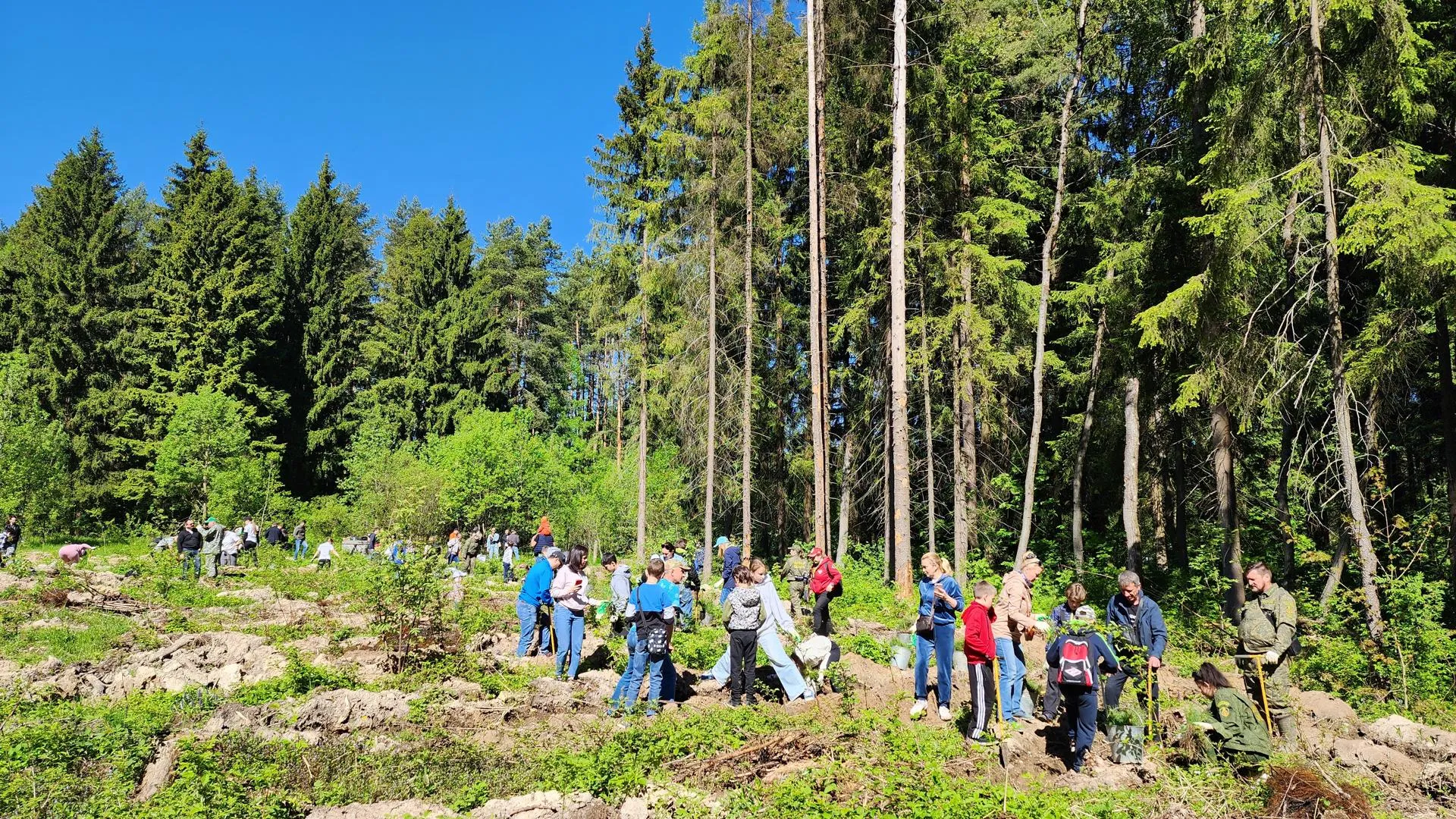 Фото: Никита Сморкалов