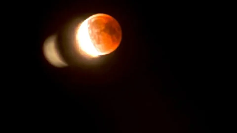 Фото: REGIONS/Дарья Кудинова