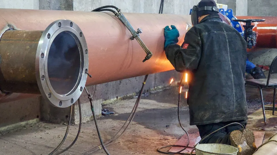 Фото: МедиаБанк Подмосковья/Мария Андрюхина