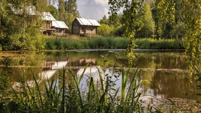 медиасток.рф