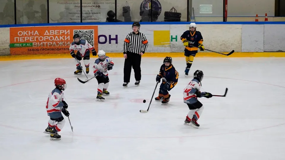 Фото: Зарайский ледовый спортивный комплекс