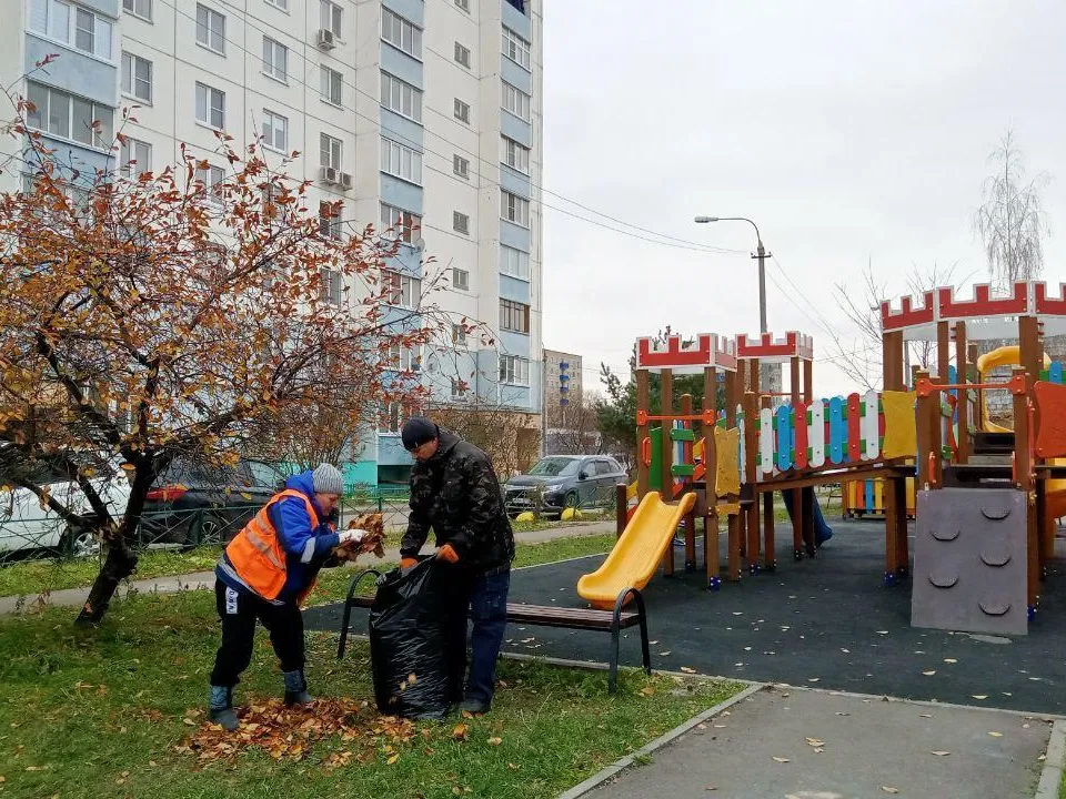 Фото: пресс-служба администрации г.о. Чехов