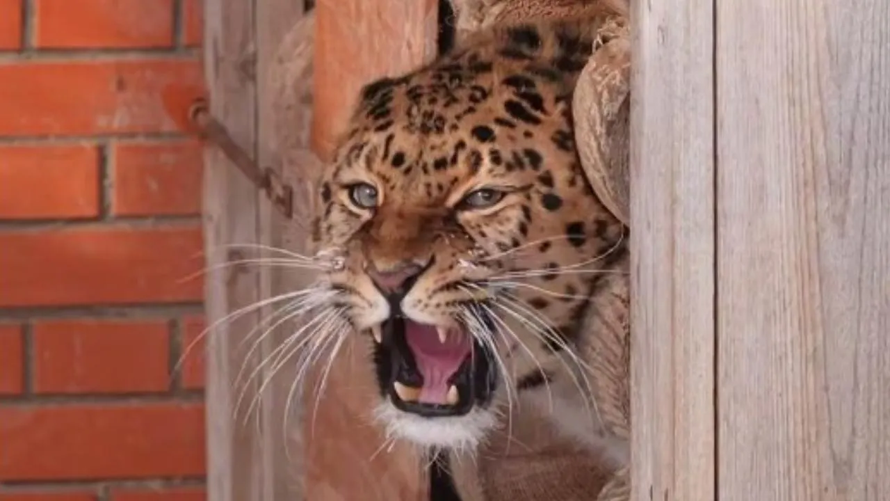 Центр воспроизводства редких видов животных