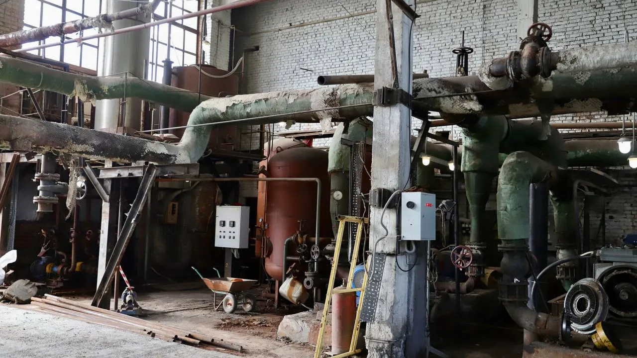 Фото: пресс-служба администрации городского округа Солнечногорск