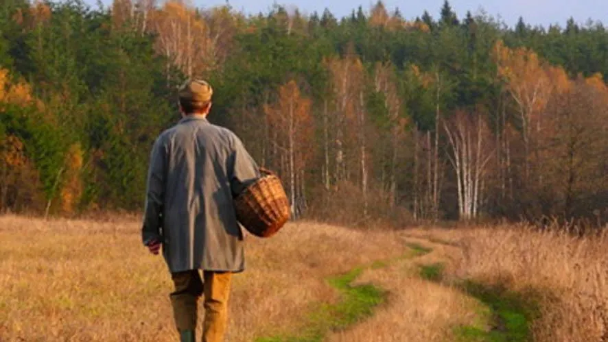 Фото kartinki-i-risunki.ru